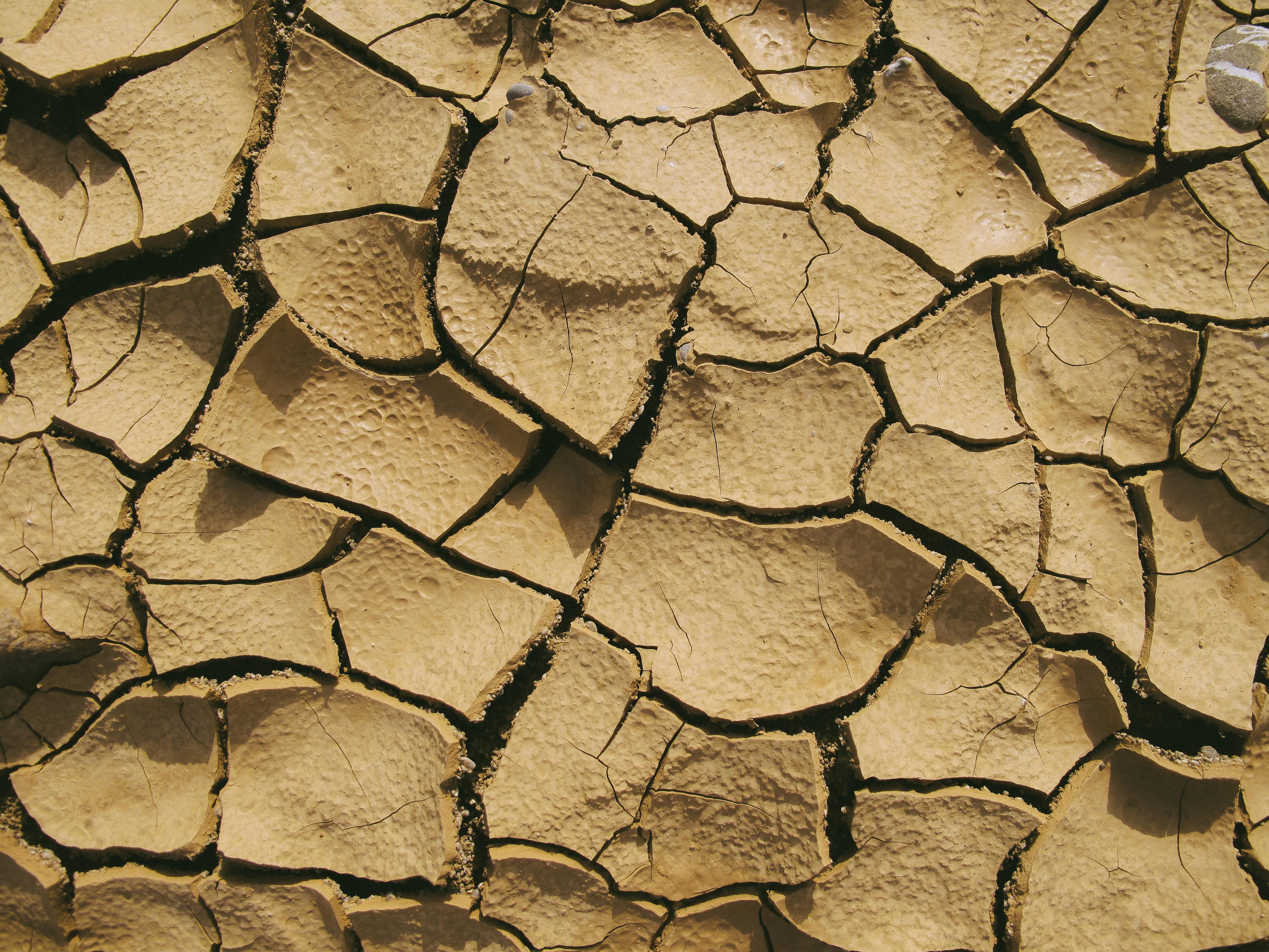 about_drought