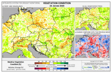 Dopady na vegetaci - Evropa - 23. červen 2024