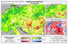 Dopady na vegetaci - Evropa - 25. srpen 2024