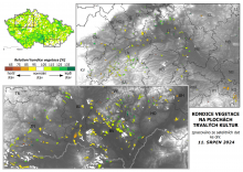 Vegetace trvalých kultur - 11. srpen 2024