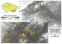 Vegetace trvalých kultur - 22. září 2024